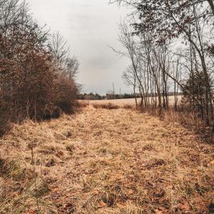 Photo #23 of ELLIS RD, LIGNUM, VA 54.2 acres