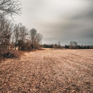 Photo #25 of ELLIS RD, LIGNUM, VA 54.2 acres