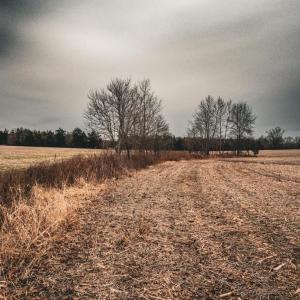 Photo #26 of ELLIS RD, LIGNUM, VA 54.2 acres