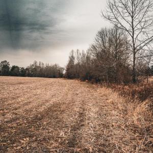 Photo #27 of ELLIS RD, LIGNUM, VA 54.2 acres
