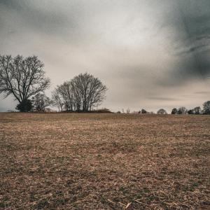 Photo #28 of ELLIS RD, LIGNUM, VA 54.2 acres