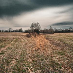 Photo #29 of ELLIS RD, LIGNUM, VA 54.2 acres