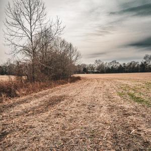 Photo #30 of ELLIS RD, LIGNUM, VA 54.2 acres