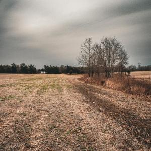 Photo #31 of ELLIS RD, LIGNUM, VA 54.2 acres