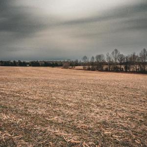 Photo #32 of ELLIS RD, LIGNUM, VA 54.2 acres