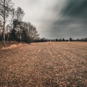 Photo #33 of ELLIS RD, LIGNUM, VA 54.2 acres