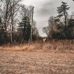 Photo #34 of ELLIS RD, LIGNUM, VA 54.2 acres