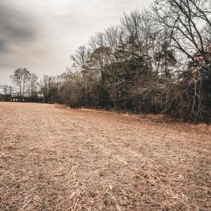 Photo #35 of ELLIS RD, LIGNUM, VA 54.2 acres