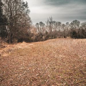 Photo #36 of ELLIS RD, LIGNUM, VA 54.2 acres