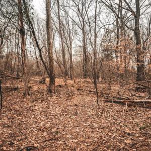 Photo #37 of ELLIS RD, LIGNUM, VA 54.2 acres