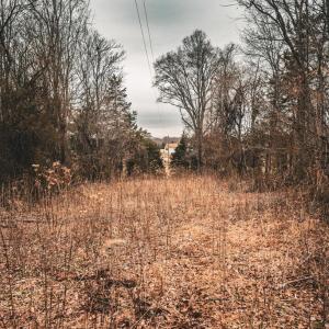 Photo #41 of ELLIS RD, LIGNUM, VA 54.2 acres