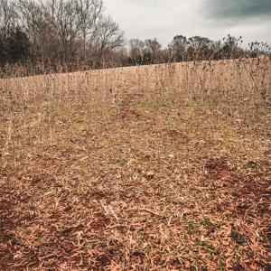 Photo #43 of ELLIS RD, LIGNUM, VA 54.2 acres