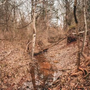 Photo #44 of ELLIS RD, LIGNUM, VA 54.2 acres