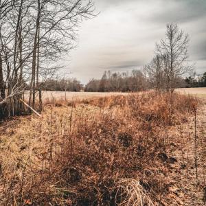Photo #46 of ELLIS RD, LIGNUM, VA 54.2 acres