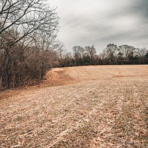 Photo #49 of ELLIS RD, LIGNUM, VA 54.2 acres