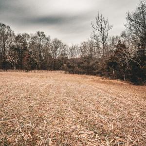 Photo #50 of ELLIS RD, LIGNUM, VA 54.2 acres