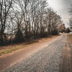 Photo #51 of ELLIS RD, LIGNUM, VA 54.2 acres