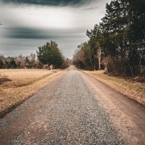 Photo #53 of ELLIS RD, LIGNUM, VA 54.2 acres