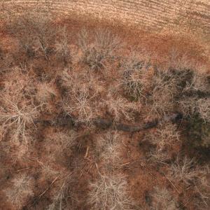 Photo #11 of ELLIS RD, LIGNUM, VA 54.2 acres