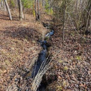 Photo #4 of VAWTER CORNER, LOUISA, VA 50.5 acres