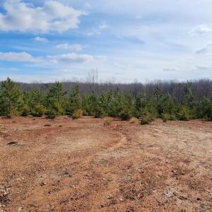 Photo #9 of VAWTER CORNER, LOUISA, VA 50.5 acres