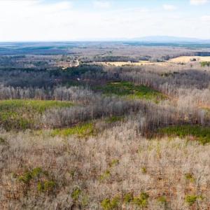 Photo #13 of VAWTER CORNER, LOUISA, VA 50.5 acres