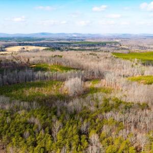 Photo #16 of VAWTER CORNER, LOUISA, VA 50.5 acres