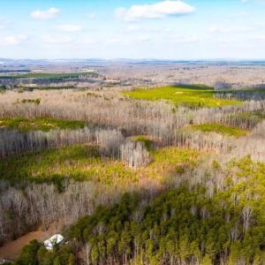 Photo #17 of VAWTER CORNER, LOUISA, VA 50.5 acres