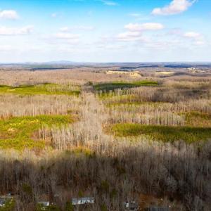 Photo #22 of VAWTER CORNER, LOUISA, VA 50.5 acres