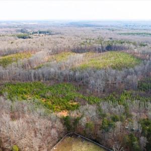 Photo #29 of VAWTER CORNER, LOUISA, VA 50.5 acres