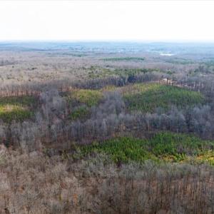 Photo #31 of VAWTER CORNER, LOUISA, VA 50.5 acres