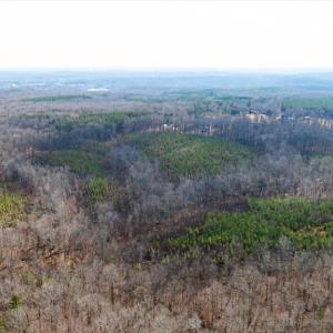 Photo #33 of VAWTER CORNER, LOUISA, VA 50.5 acres