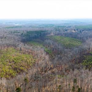 Photo #34 of VAWTER CORNER, LOUISA, VA 50.5 acres