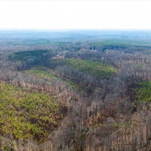 Photo #35 of VAWTER CORNER, LOUISA, VA 50.5 acres