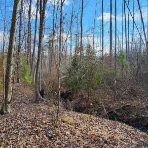 Photo #2 of VAWTER CORNER, LOUISA, VA 50.5 acres