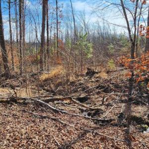 Photo #3 of VAWTER CORNER, LOUISA, VA 50.5 acres