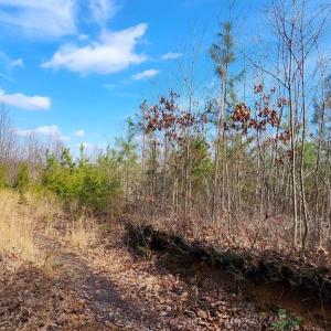 Photo #7 of VAWTER CORNER, LOUISA, VA 50.5 acres