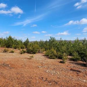 Photo #8 of VAWTER CORNER, LOUISA, VA 50.5 acres