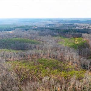 Photo #10 of VAWTER CORNER, LOUISA, VA 50.5 acres