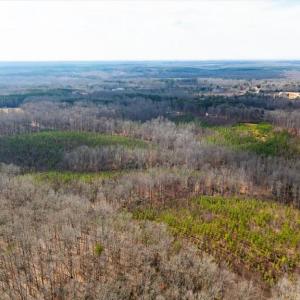 Photo #11 of VAWTER CORNER, LOUISA, VA 50.5 acres