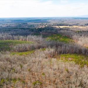 Photo #12 of VAWTER CORNER, LOUISA, VA 50.5 acres