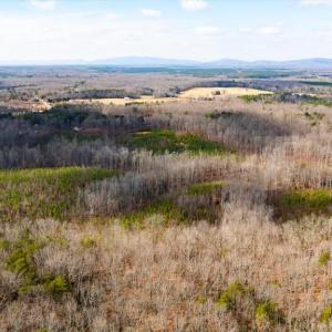 Photo #14 of VAWTER CORNER, LOUISA, VA 50.5 acres