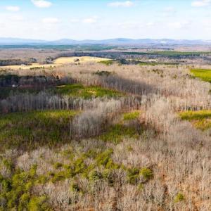 Photo #15 of VAWTER CORNER, LOUISA, VA 50.5 acres