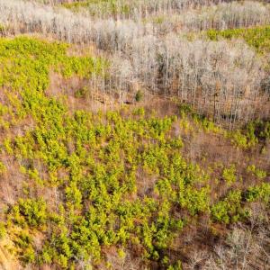 Photo #24 of VAWTER CORNER, LOUISA, VA 50.5 acres