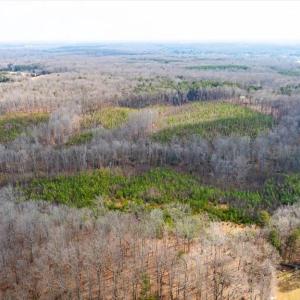 Photo #30 of VAWTER CORNER, LOUISA, VA 50.5 acres