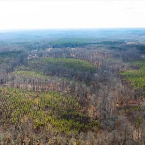 Photo #36 of VAWTER CORNER, LOUISA, VA 50.5 acres