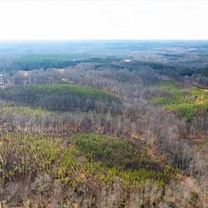 Photo #37 of VAWTER CORNER, LOUISA, VA 50.5 acres