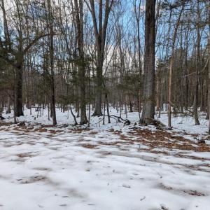 Photo #11 of RAPIDAN ROAD, RAPIDAN, VA 6.0 acres