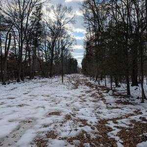 Photo #6 of RAPIDAN ROAD, RAPIDAN, VA 6.0 acres