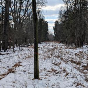 Photo #7 of RAPIDAN ROAD, RAPIDAN, VA 6.0 acres
